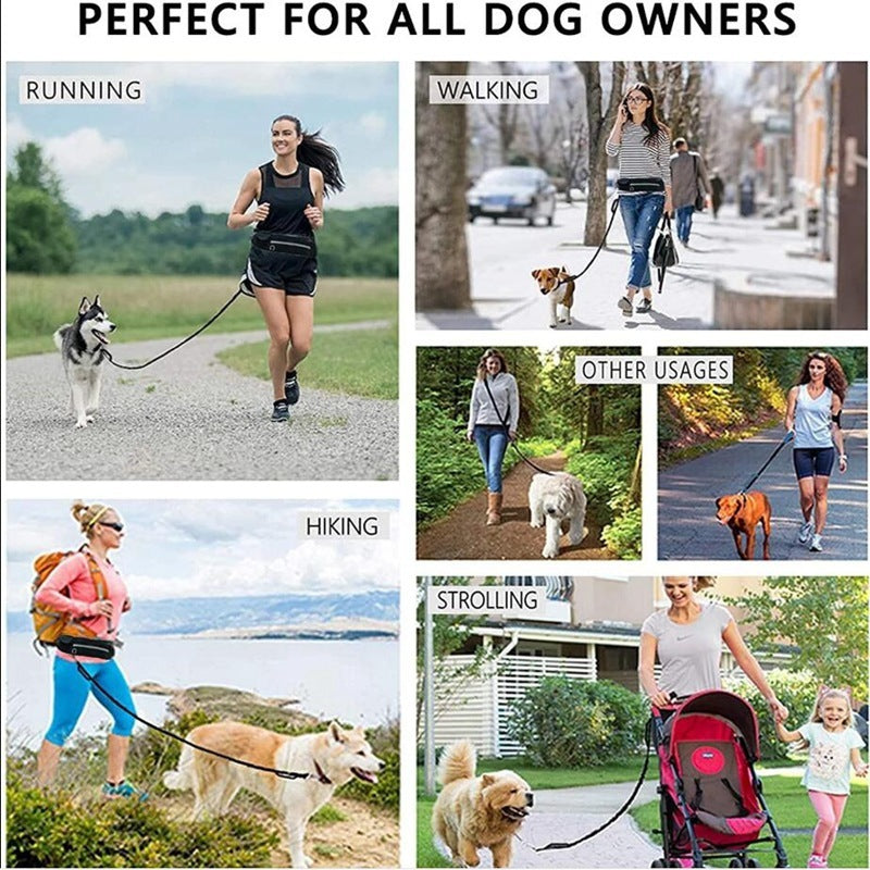 Ham's Jogging Leash - hams-hop.com