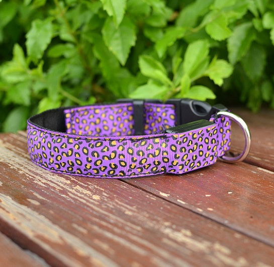 Ham's Leopard LED And Normal Collar - hams-hop.com