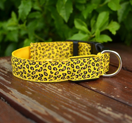 Ham's Leopard LED And Normal Collar - hams-hop.com