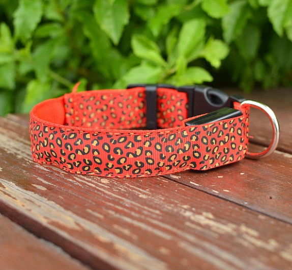 Ham's Leopard LED And Normal Collar - hams-hop.com