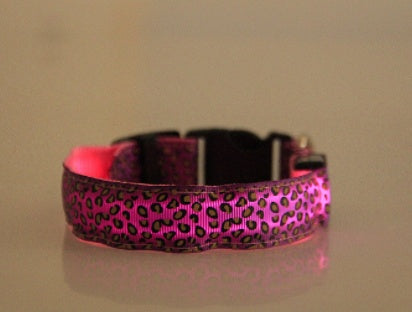 Ham's Leopard LED And Normal Collar - hams-hop.com