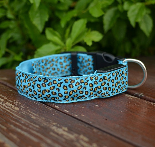 Ham's Leopard LED And Normal Collar - hams-hop.com