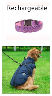 Ham's Leopard LED And Normal Collar - hams-hop.com