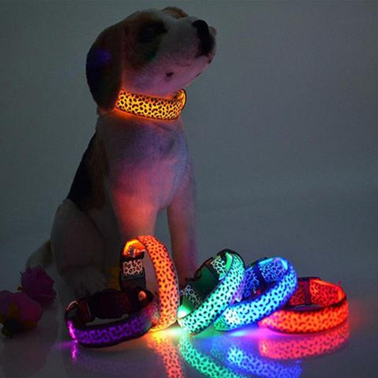 Ham's Leopard LED And Normal Collar - hams-hop.com