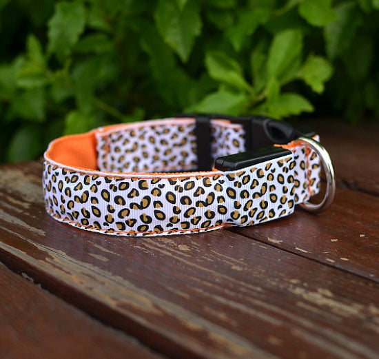 Ham's Leopard LED And Normal Collar - hams-hop.com