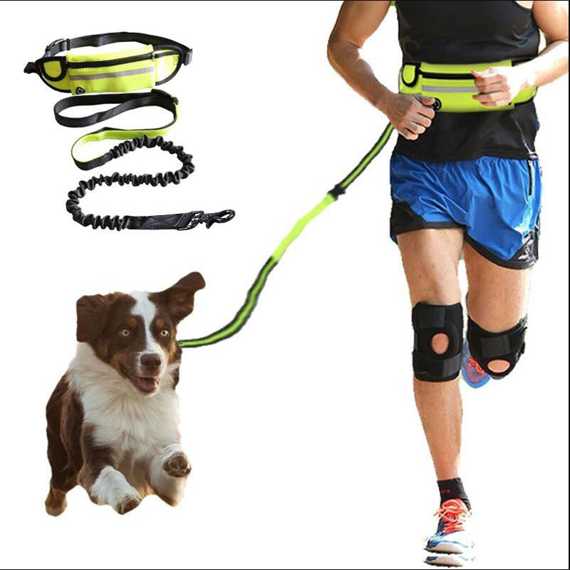 Ham's Jogging Leash - hams-hop.com