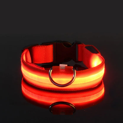 Ham's LED Collar - hams-hop.com