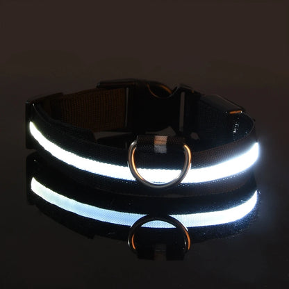 Ham's LED Collar - hams-hop.com