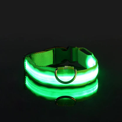 Ham's LED Collar - hams-hop.com