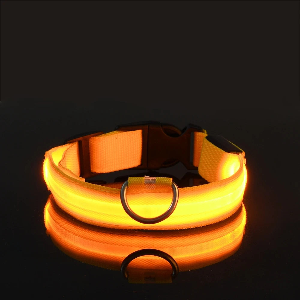 Ham's LED Collar - hams-hop.com