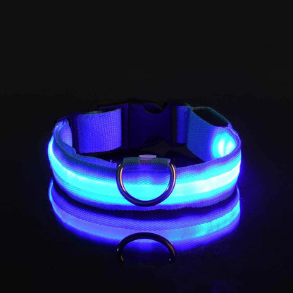 Ham's LED Collar - hams-hop.com