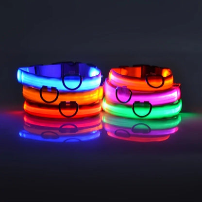 Ham's LED Collar - hams-hop.com