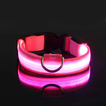 Ham's LED Collar - hams-hop.com