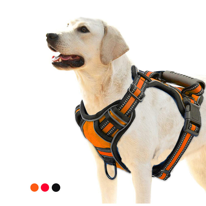 Ham's No Pull Dog Harness - hams-hop.com